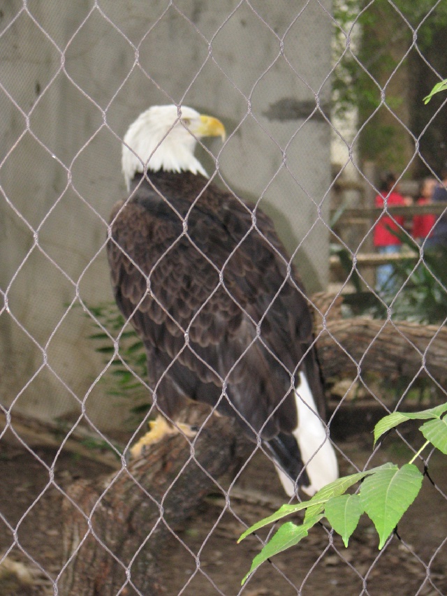 20100206 521.JPG